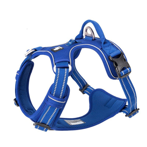 No Pull Harness Royal Blue L