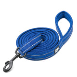 Reflective Pet Leash 2 meters Royal Blue S