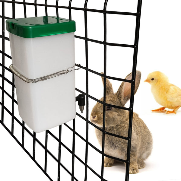 Cheeky Chooka Poultry Drinker Chick Dropper 1L