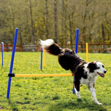 Floofi Dog Agility Training Set