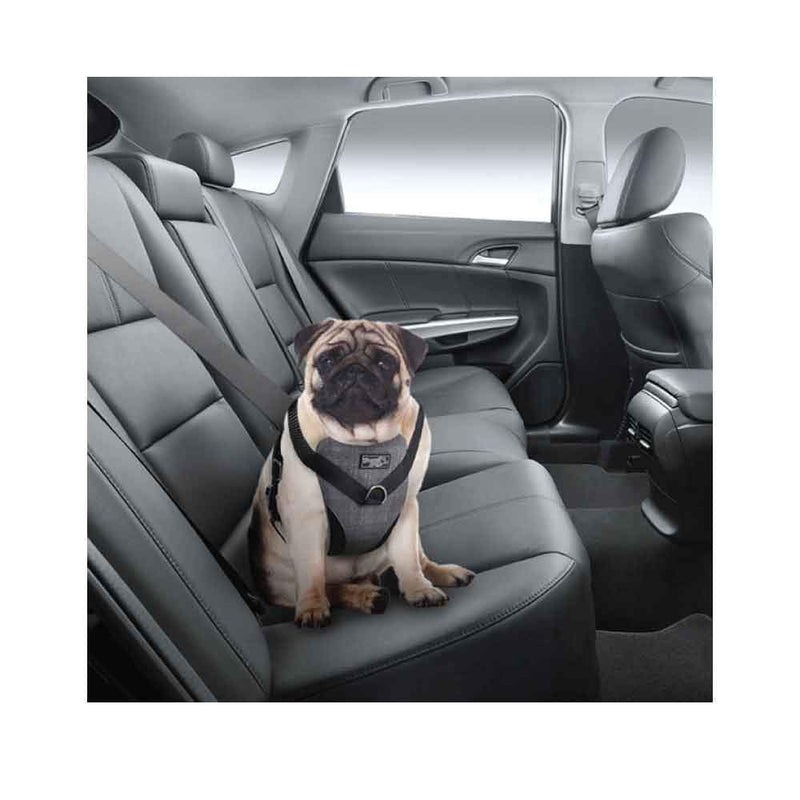 XL Dog Harness 2 in 1 Combo - Car Travel Rides + Walks - No Pull Leash Seat Belt