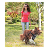 Medium Dog Harness 2 in 1 Combo - Car Travel Rides + Walks - No Pull Leash Seat Belt