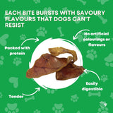 50x Dog Treat Large Pig Ears Whole  - Dehydrated Australian Healthy Puppy Chew