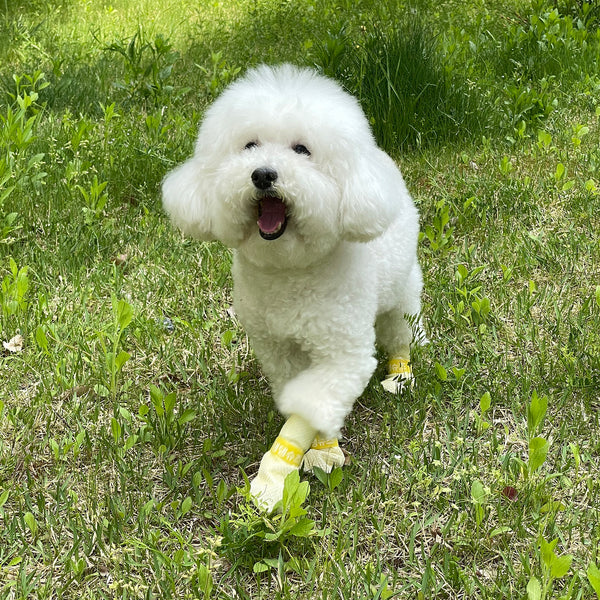 28pc X Dog Shoes Waterproof Disposable Boots Anti-Slip Pet Socks M YELLOW