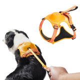 Vibe Geeks Ultimate 2-in-1 Reflective No-pull Dog Harness with Retractable Leash and Control Handle - Green - L