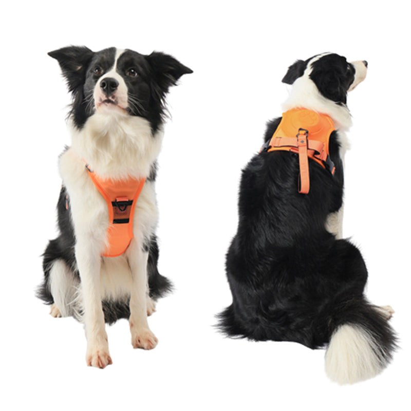Vibe Geeks Ultimate 2-in-1 Reflective No-pull Dog Harness with Retractable Leash and Control Handle - Green - L
