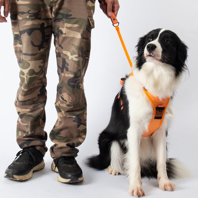 Vibe Geeks Ultimate 2-in-1 Reflective No-pull Dog Harness with Retractable Leash and Control Handle - Green - L