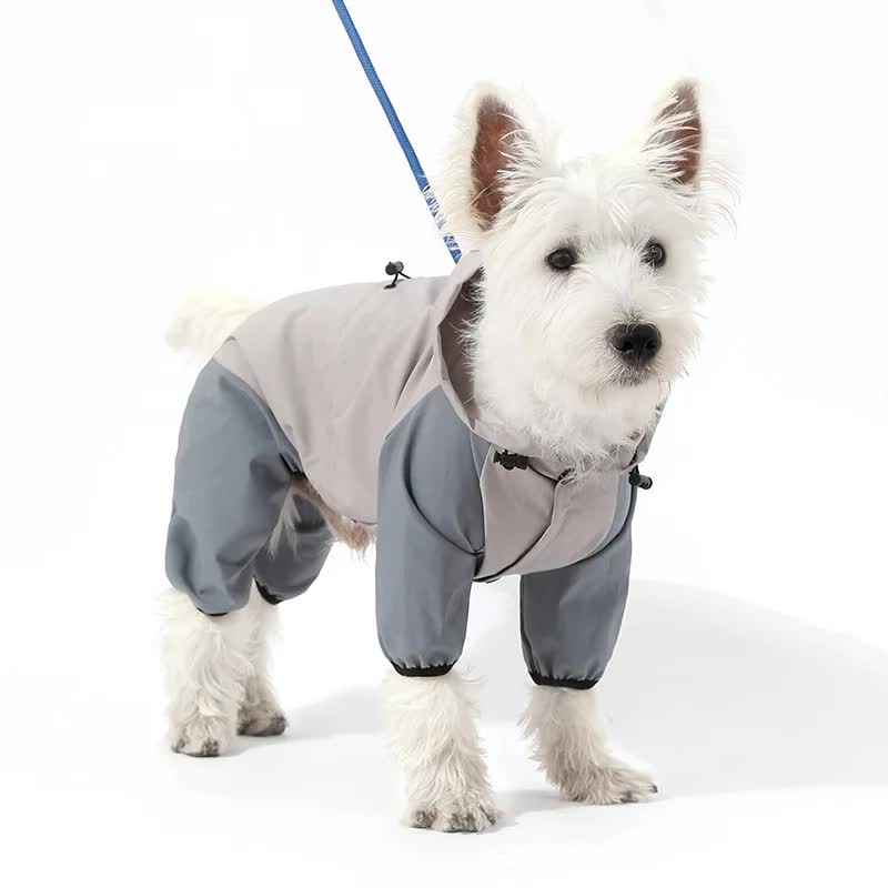 Waterproof Dog Raincoat with Hidden Leash Hole - Windproof and Comfortable for Outdoor Walks, Size:S (Back Length 20cm/7.87in, Bra 31cm/12.20in) Grey