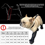 L Waterproof Non-Slip Dog Shoes – All-Season Dog Boots for Protection, Anti-Slip Pet Footwear, Durable and Comfortable