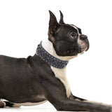 Size S Black 1 pack Stylish PU Leather Dog Collar with Spikes - Adjustable, Durable & Comfortable for Medium to Large Breeds
