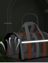 Size L Black Foldable Pet Carrier Bag - Lightweight, Breathable, and Spacious for All Seasons
