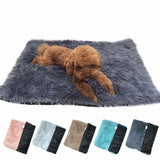 Blue Plush Pet Mat for Dogs and Cats - 70x100cm, Anti-Slip, Warm and Cozy for Autumn and Winter