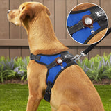S Purple Secure Nylon Dog Collar with Built-in Apple AirTag (not included) Holder Case - Pet Tracker Accessory
