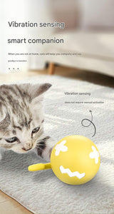 Rechargeable Interactive Cat Toy - Self-Rolling Ball with LED Light,Standard Edition Blue