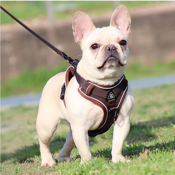 Brown Reflective Mesh Dog Harness and Leash Set - Adjustable No-Pull Vest - M